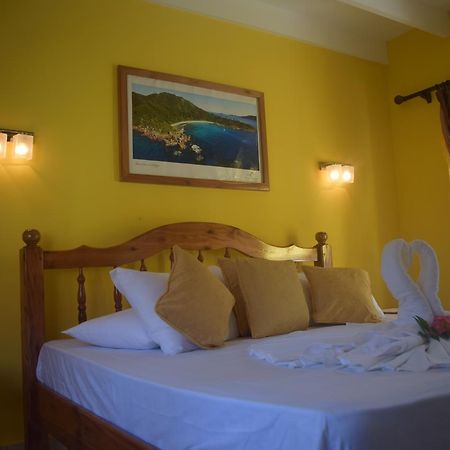 Pension Citadelle Диг Екстериор снимка