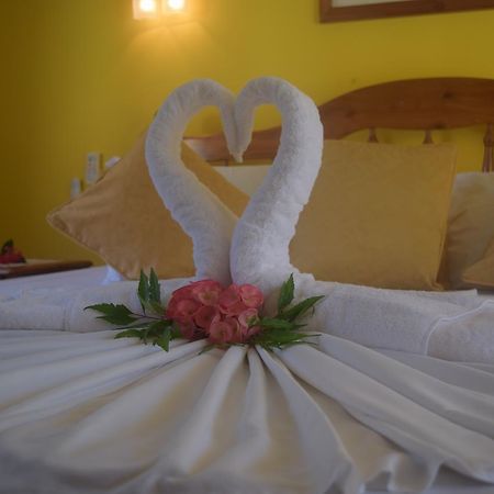Pension Citadelle Диг Екстериор снимка