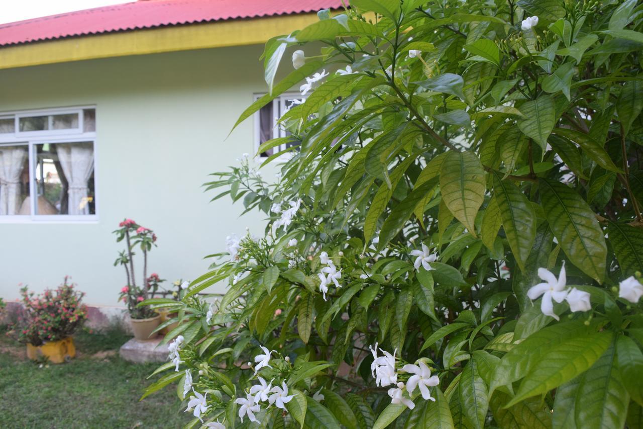 Pension Citadelle Диг Екстериор снимка